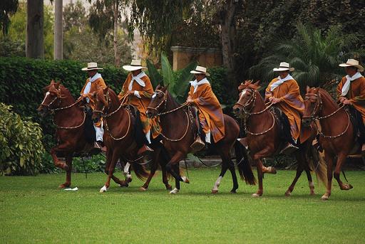 Caballos de Paso de la Hacienda Mamacona