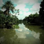 Descubre la Laguna de Yarinacocha