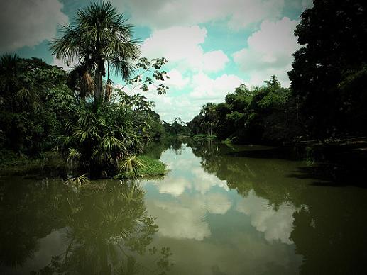 laguna-de-yarinacocha