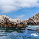 Viaja y conoce las Islas Ballestas