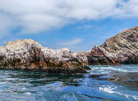 turismo-islas-ballestas