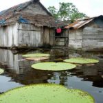 Lugares para visitar en Iquitos