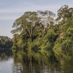 Conociendo la reserva de Bahuaja Sonene