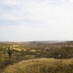 Descubre los Cerros de Amotape en Tumbes