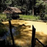 Iquitos: Cochas y playas de la Amazonía