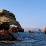 Por qué cualquier amante de la naturaleza debe viajar a Paracas, Perú