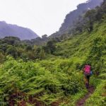 Trekking en la ceja de selva de Ayacucho