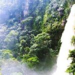 Trekking en Lamas a la catarata de Toroyacu