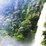 Trekking en Lamas a la catarata de Toroyacu