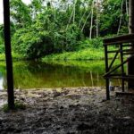 Lugares para visitar en Madre de Dios