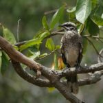 Lugares para visitar en Lambayeque