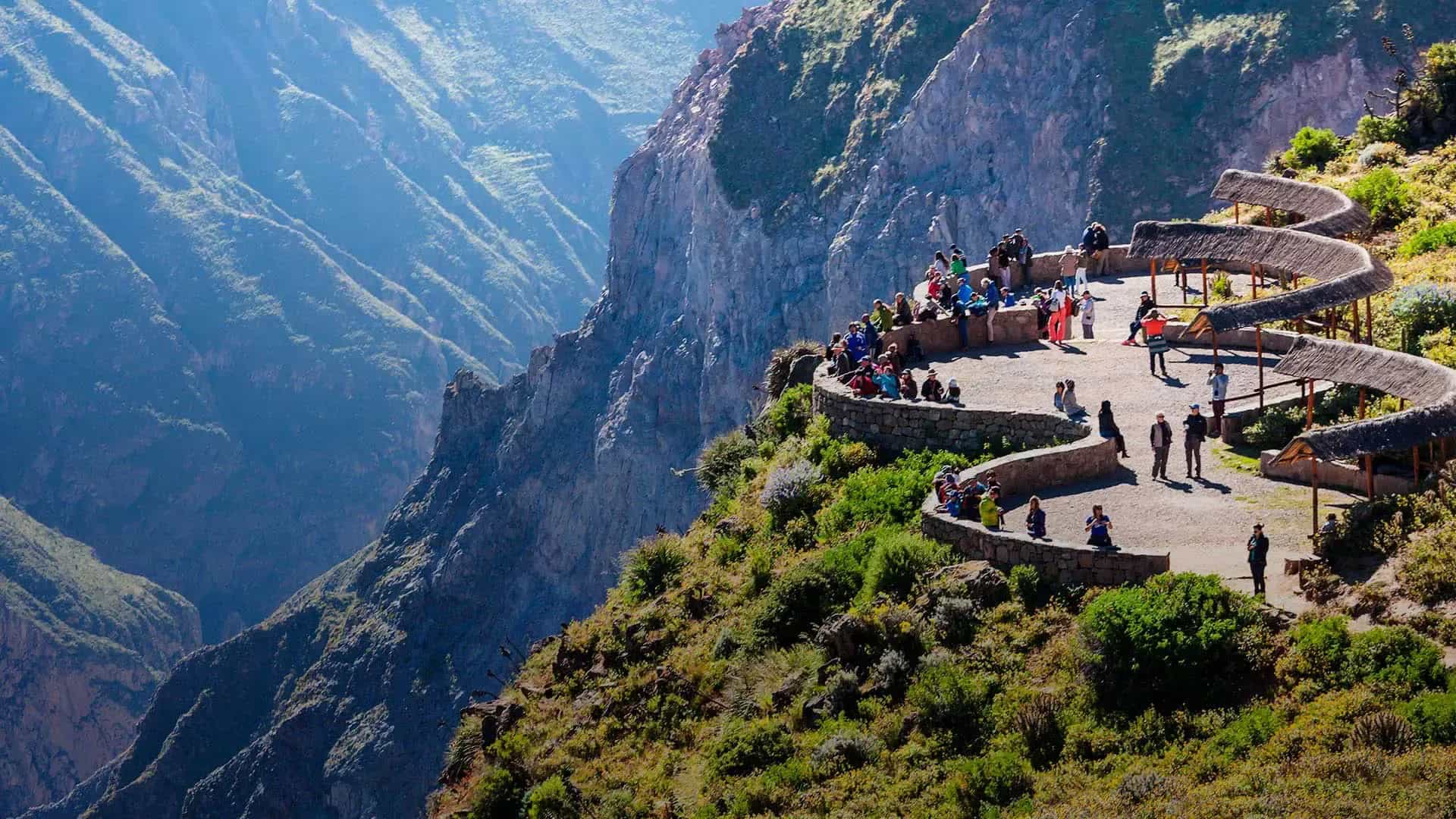 Cañón del Colca: tours, precios y cómo ver el cóndor